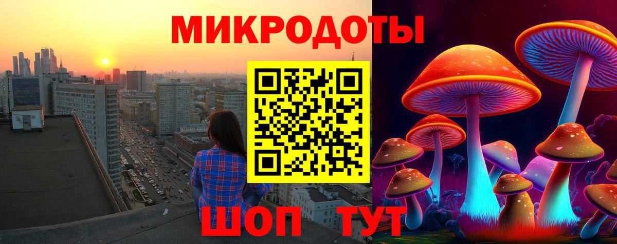 Ефремов  продажа наркотиков  Вход с VPN  Галлюциногенные грибы Psilocybe 